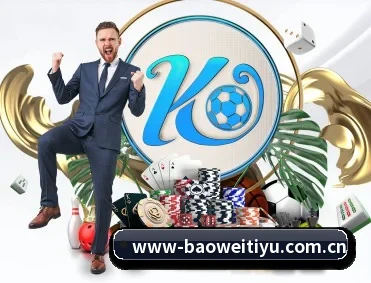 宝威体育官网 APP（BAOWEI）